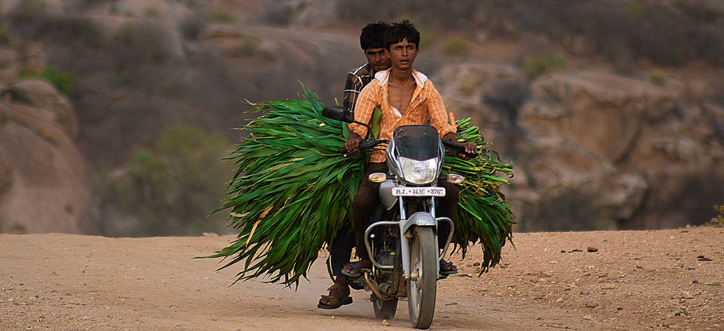 Voyage en Rajasthan